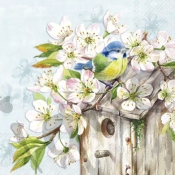 Serviette Serviette cherry blossom birdhouse hellblau