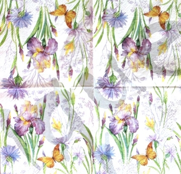 - Kopie - Kopie - Kopie - Kopie