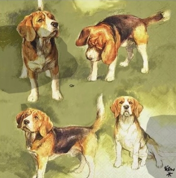 Serviette beagles