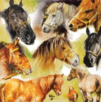 Serviette collage of horses