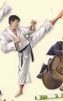 Preview: 3D Schnittbogen verschiedene Sportarten