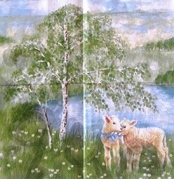 Serviette lämmer auf frühlingswiese