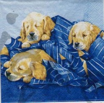 Serviette welpen