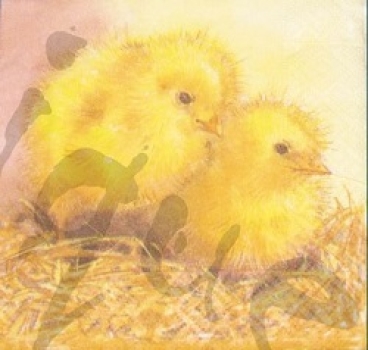 Serviette küken (2Stk.)