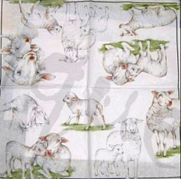 Serviette schafe (2Stk.)