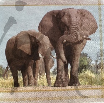 Serviette elefant mit jungem