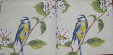 Serviette earlbird