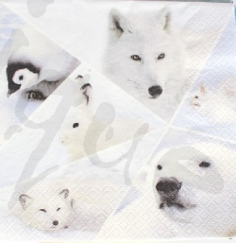 Serviette winter life