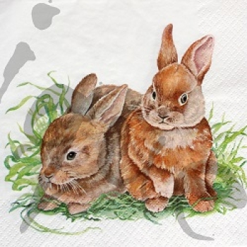 Serviette zwei häschen
