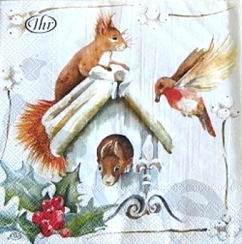 Serviette surprising visit