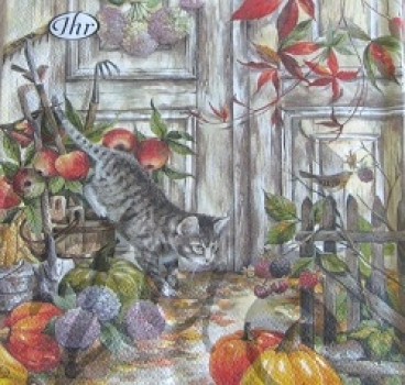 Serviette hunting cat