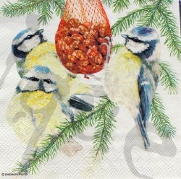 Serviette dinner time