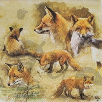 Serviette portraits of foxes