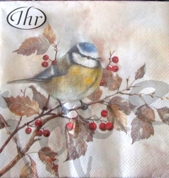 Serviette meisli auf ast