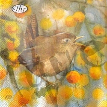 Serviette wren and branches