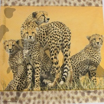 Serviette leoparden familie