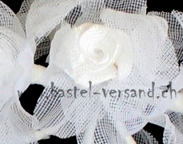 Preview: Tüllrose weiss