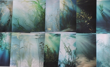 Designpapier Unterwasser