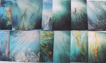 Designpapier Unterwasser