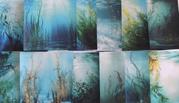 Designpapier Unterwasser