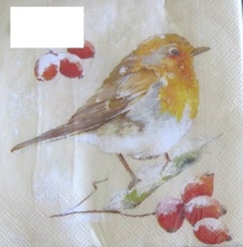 Serviette winter robin