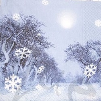 Serviette mystic winter