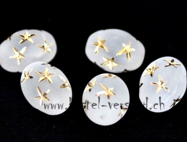 Perle oval 13 x 10mm weiss gefrostet mit Stern gold
