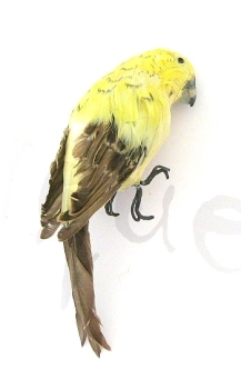 Preview: Wellensittich gelb