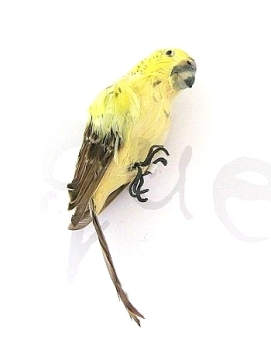 Wellensittich gelb