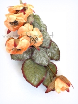 Preview: Wildrose lachs