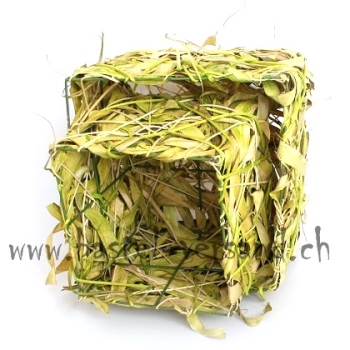 Würfel grün (2Stk.)