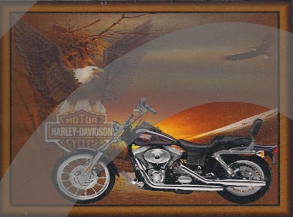 3D Schnittbogen Pyramides Harley Davidson