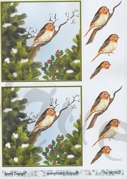 - Kopie - Kopie - Kopie - Kopie