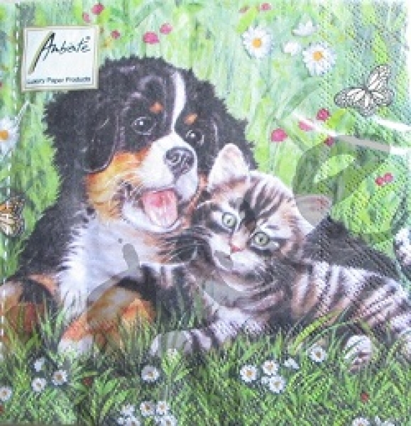 Serviette best friends