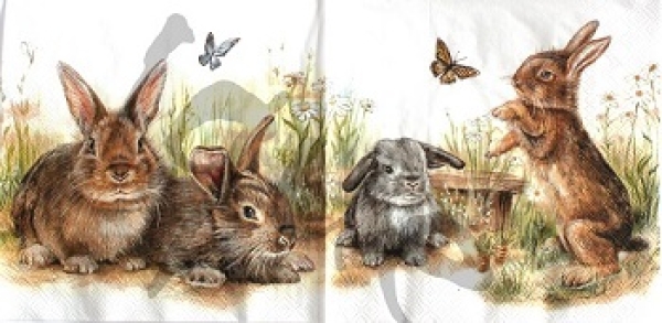 - Kopie - Kopie - Kopie