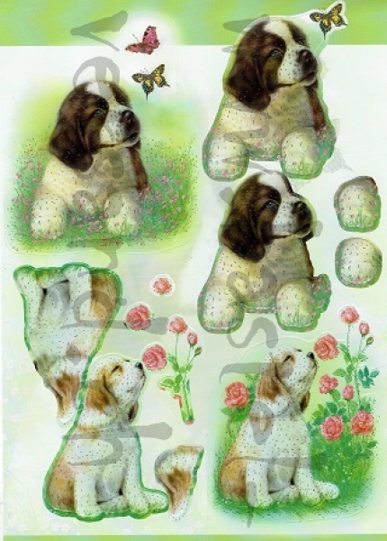 - Kopie - Kopie - Kopie