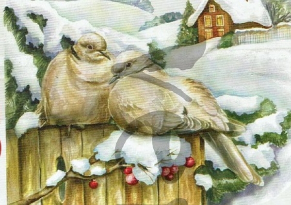 3D Schnittbogen Tauben