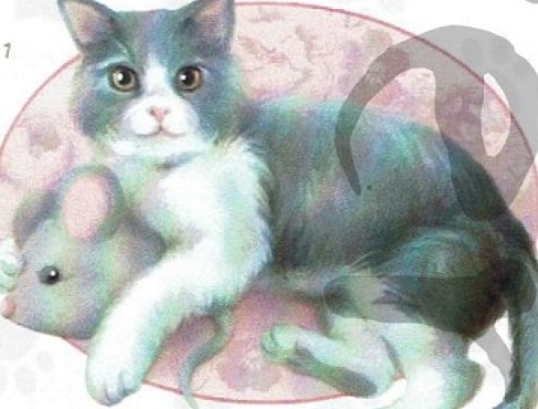 3D Schnittbogen Katzenbabys