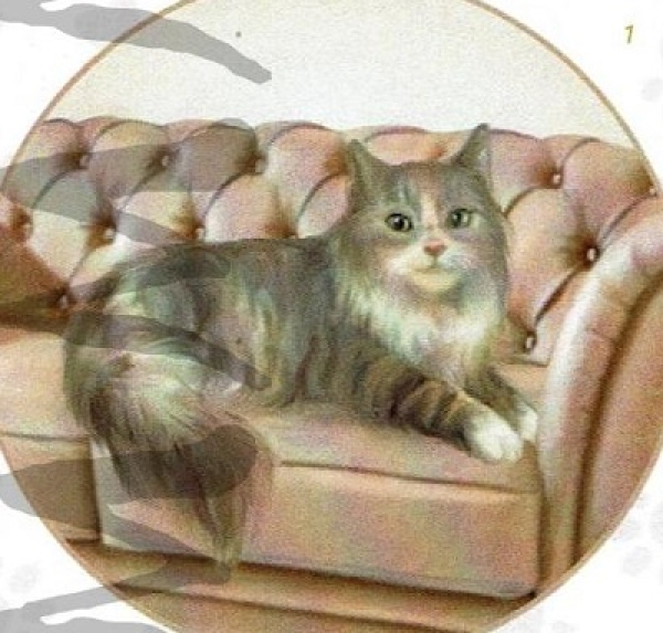 3D Schnittbogen Katzen