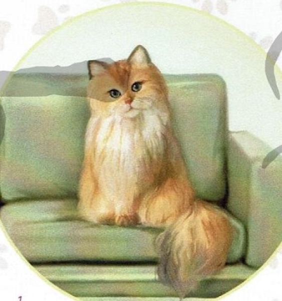 3D Schnittbogen Katzen