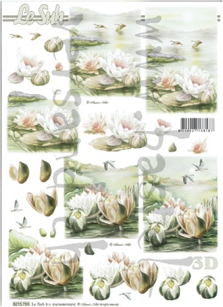 3D Schnittbogen Seerosen