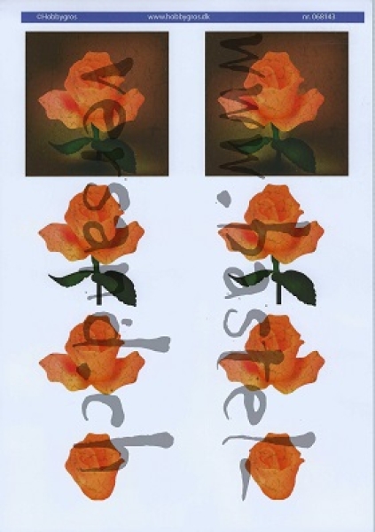 3D Schnittbogen Rose