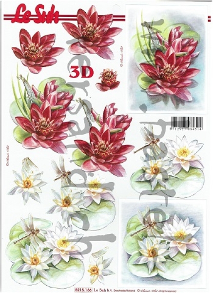 3D Schnittbogen Seerosen