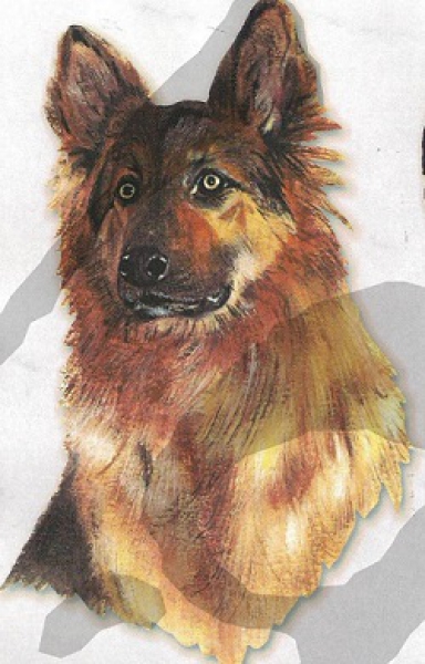 3D Schnittbogen Schäferhund