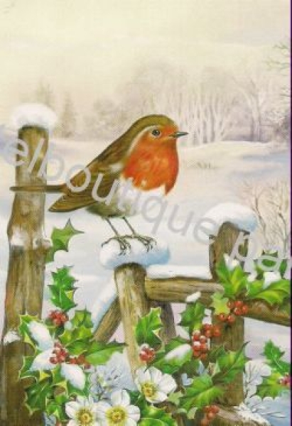 Pyramides Rotkehlchen