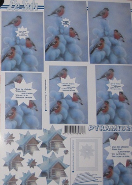 Pyramides 3 Vögel im Schnee