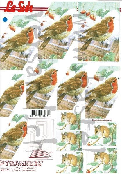 Pyramides Rotkehlchen / Maus