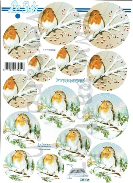 Pyramides Rotkehlchen