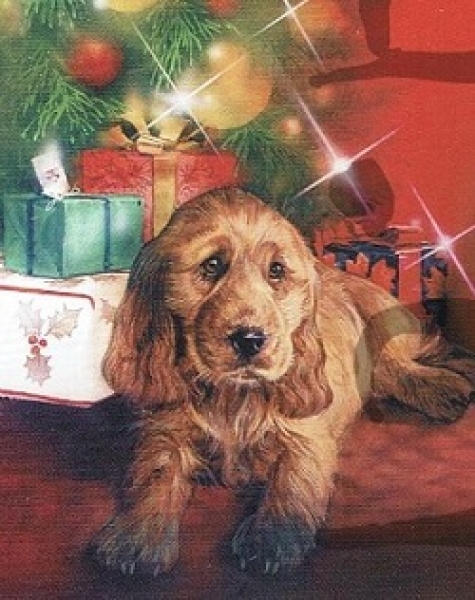 3D Stanzbogen Welpen