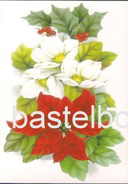 - Kopie - Kopie - Kopie